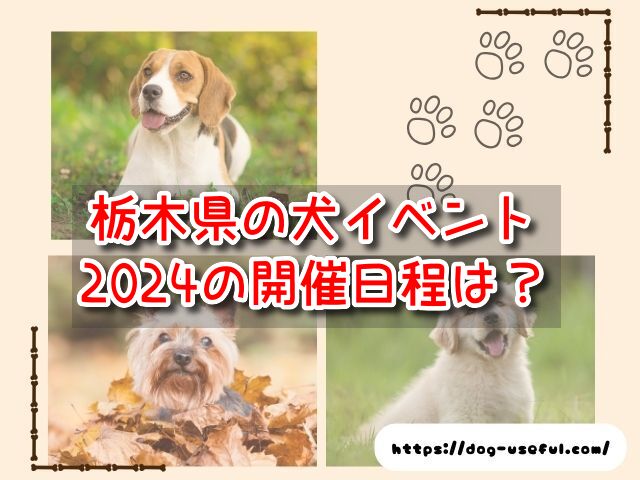 栃木県　犬イベント